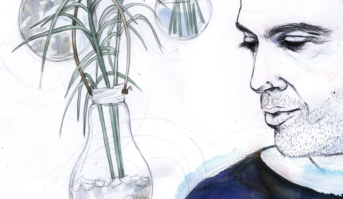 Laura Bustos. Ilustración