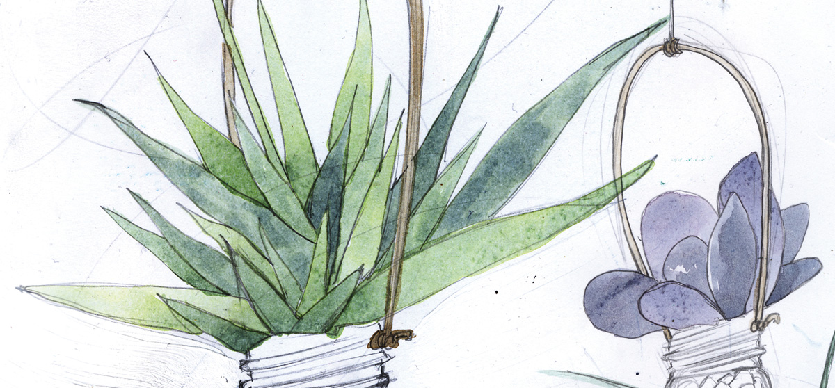 Laura Bustos. Ilustración