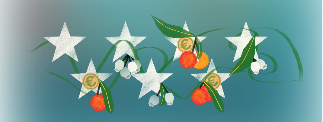 Ilustración de estrellas y madroños